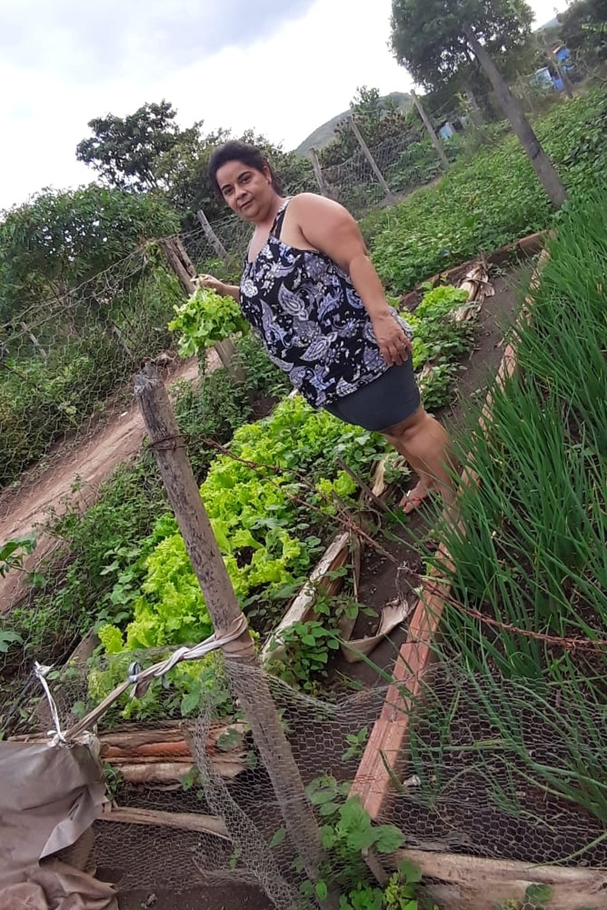 No Assentamento Nova Vida, localizado no Vale do Jequitinhonha (MG), a família de Dona Dina vem gerando qualidade de vida com alimentos agroecológicos produzidos no quintal produtivo.