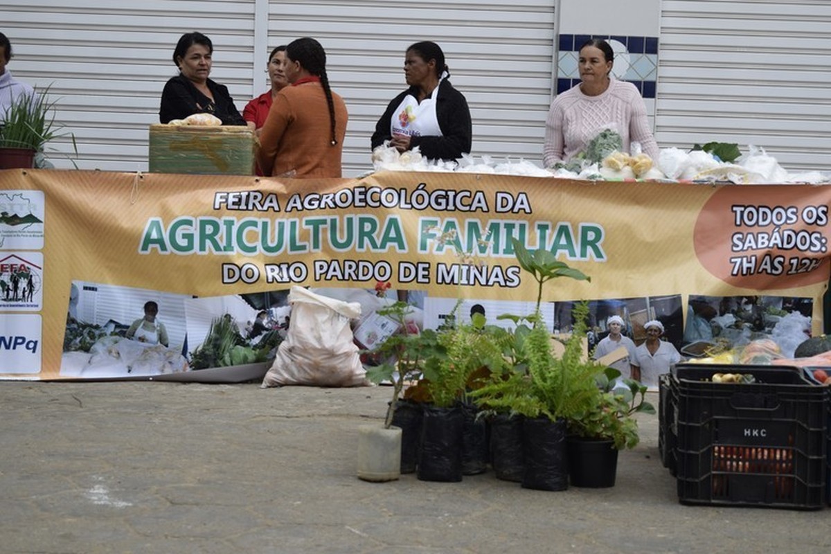 Consumir alimentos saudáveis nos dias atuais é um ato de rebeldia. Um ato de dizer não as formas de produção que agridem povos, as águas e as terras. Consumir alimentos saudáveis, livre de agrotóxicos e adubos químicos e um posicionamento em defesa de um desenvolvimento solidário. Confira matéria sobre feiras agroecológicas no Rio Pardo de Minas.